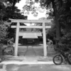 【出雲國】出雲郡・伊努神社。