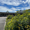 ロケハン & ウォーキング！その1 ─ 2022.8.31 富山県中央植物園 ─