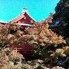 本土寺の秋　２
