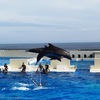ひょうご夏の体験デジタルパス・2日目②