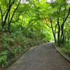高 幡 山
