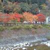 木の香温泉