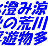 水澄み涼し、秋の荒川（浮遊物多し）