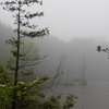 雨の高原