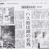 毎日新聞に鯨骨出土地の記事掲載（2020.6.13（土））