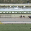 ２月１５日　勝負・注目レース結果　ー馬連990円的中(;^_^A