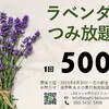 朝からちょっと嬉しいコトがあった日は1日の終わりまで幸せ。