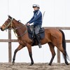 【一口馬主／ラキエータ、ベイステート、カネラフィーナ、リモニウムの22】頓挫もありながら…