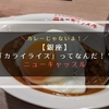 【銀座】「カライライス」ってなんだ！？カレーをランチにするならニューキャッスルがおすすめ