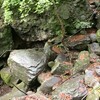 恐竜、七瀬シリーズ、ハンニバル、あさひなぐの日々