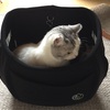 🐾届いたもの。