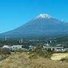 初詣の混雑に順応できなくなったことで衰えを感じる