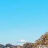 人生１００年時代の健康・・・下（第６５回日本病理学会秋季特別総会に寄せて）