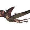 ディモルフォドン：ジュラ紀の空を飛んだ小さな翼竜の暮らし