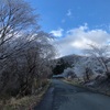 一本杉園地キャンプ場　その70