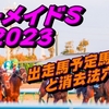 【マーメイドステークス2023】出走馬予定馬データ分析と消去法予想