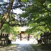 夏越の大祓