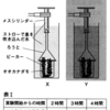 オオカナダモから発生する酸素（２０１１年群馬）