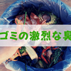 夏に「生ゴミが臭くなる原因」と悪臭の対処法