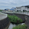岩川（横浜緑区）を歩く