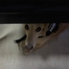 いつになったら