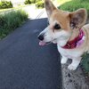 風が吹いても熱風やなぁ～