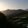 夕暮れの「丸山千枚田」