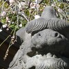 牛天神(北野神社）梅まつり