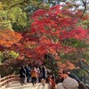 宮島紅葉　弥山登山