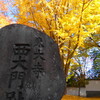 華厳宗大本山東大寺