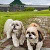 まるっと公園ふたりじめ