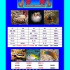 沖縄2008　ダイビング
