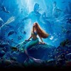 映画館で実写版THE LITTLE MERMAID