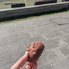 弾丸旅行３日目（5/18）＆おまけ