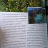 桃園空港ついたー(∩´∀｀)∩けど英語使えず入国で慌てる…orz