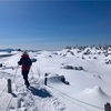 5ヶ月たったものの