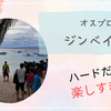 【セブ島】オスブロへの挑戦：ジンベイザメとのシュノーケリング体験