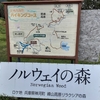 自然の中を歩く：砥峰高原ハイキングコース