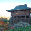 偶然見つけた枯山水と紅葉の庭園　徳島県本楽寺