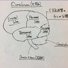 【Courseraで神経科学を学ぶ（２）】脳の構造を側面から、底面から、断面から細かく見てみよう！