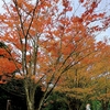 秋のアート巡り