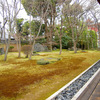 庭園６２　妙心寺塔頭衡梅院「四河一源の庭」　妙心寺四派の根源の庭