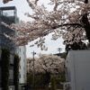 現実と向き合った日他（追記済み）