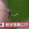 秋の気配