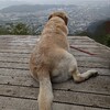 足利・両崖山登山と織姫神社参拝、そして佐野ラーメンで締めくくり