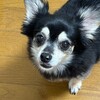 まろにー3594日目