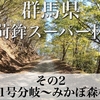 【車載動画】群馬県 御荷鉾スーパー林道 その2(群馬県道71号分岐〜みかぼ森林公園周辺)