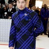 メットガラ（MET GALA）2023〜レカペのセレブたち（注・オタクの迷宮版）