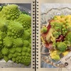 いろいろな野菜をいただいて・・・＆ゴルフ日記