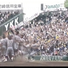 夜だるまスポーツ
